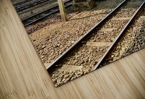 The Railroad Jimmy Roy Photos puzzle