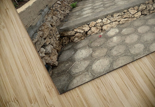 Walk up to the Sky Jimmy Roy Photos puzzle