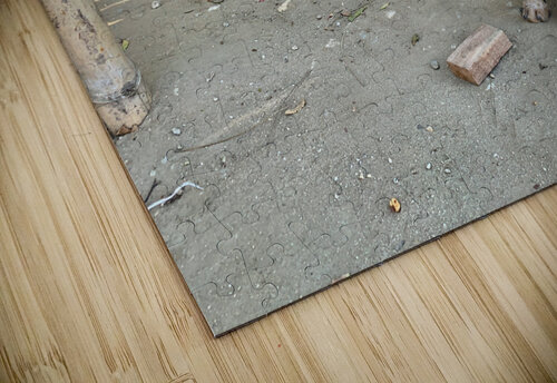 Sad Puppy Jimmy Roy Photos puzzle