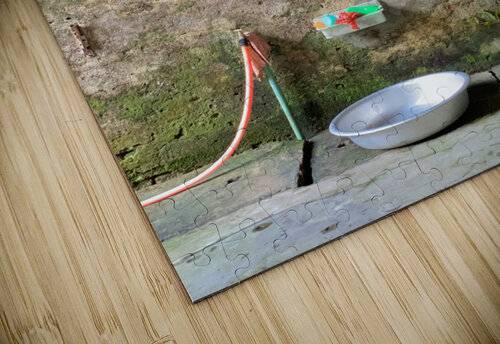 Bathroom Wall Jimmy Roy Photos puzzle