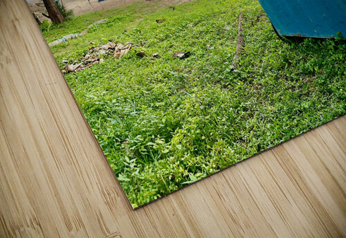 Stand Alone by the Sea Jimmy Roy Photos puzzle