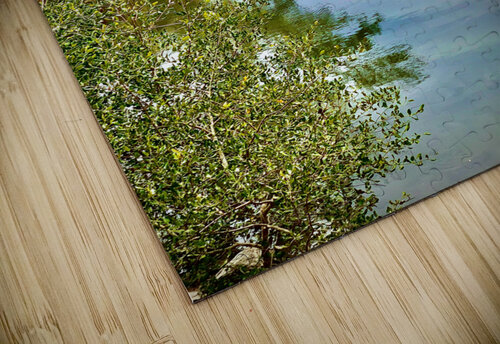 Colorful River 2 Jimmy Roy Photos puzzle