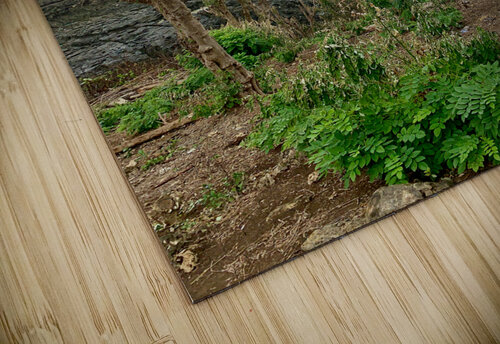 Broken Beach Nusa Penida Indonesia 2 Jimmy Roy Photos puzzle