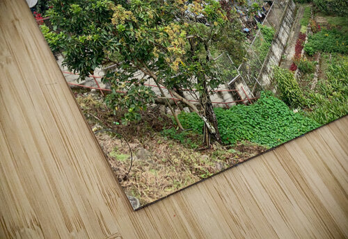 Around Banaue Jimmy Roy Photos puzzle