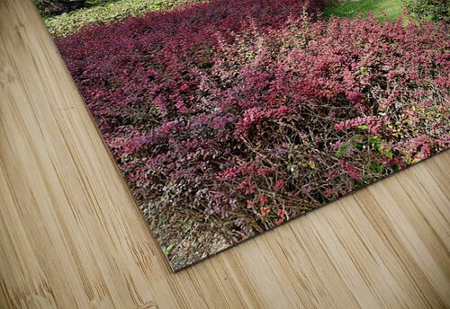 Jongmyo Shrine Seoul Korea 4 Jimmy Roy Photos puzzle