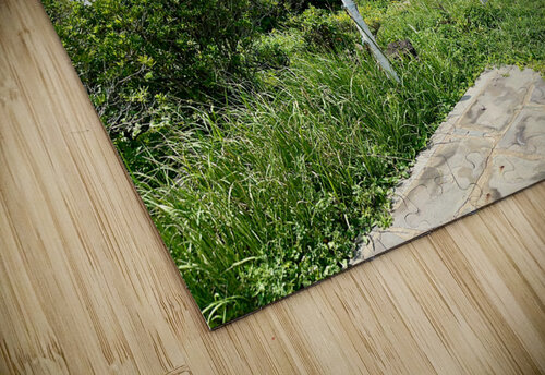 Seopjikoji Jeju South Korea 5 Jimmy Roy Photos puzzle