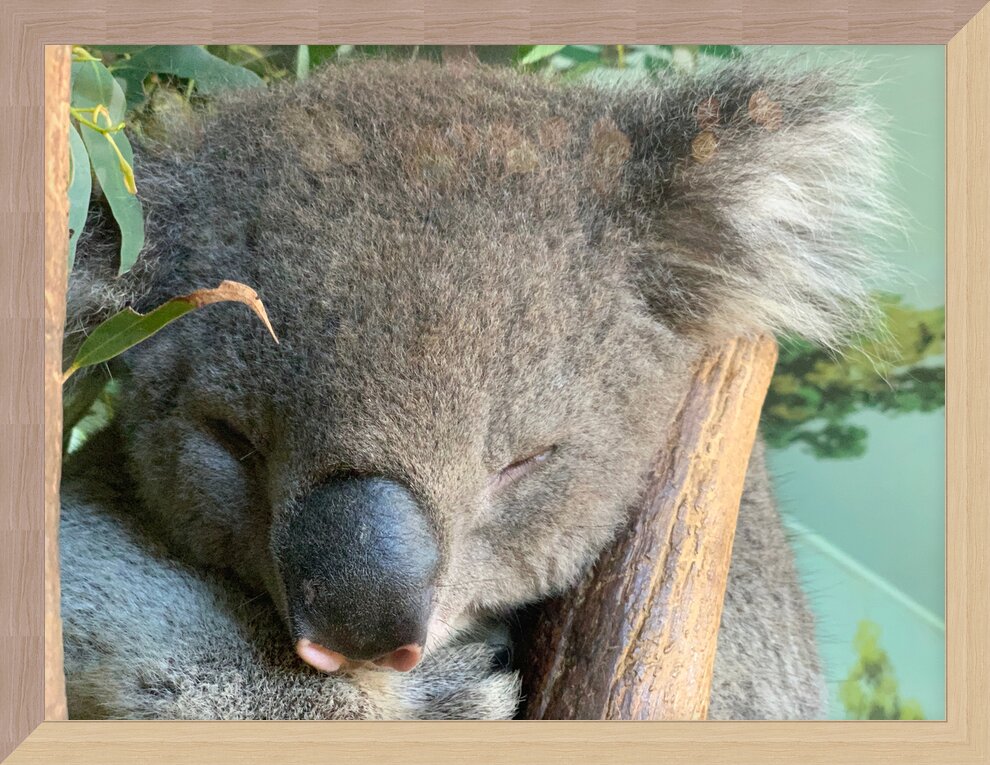 Impression de cadre personnalisé
