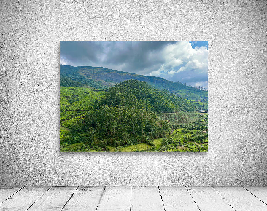 Tea Plantations 6 Wall Preview