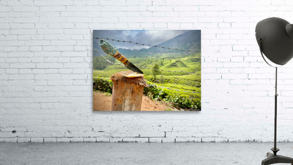 Coconut Knife Wall Preview