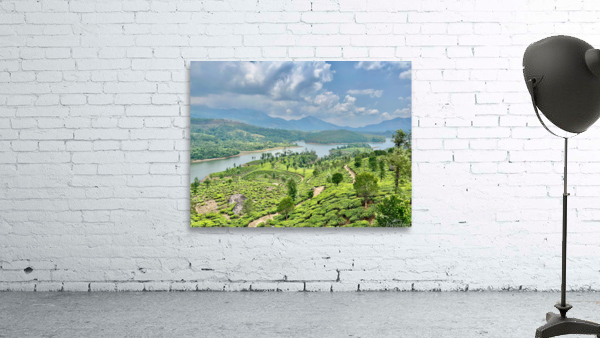 Beautiful River Through Tea Plantations Wall Preview