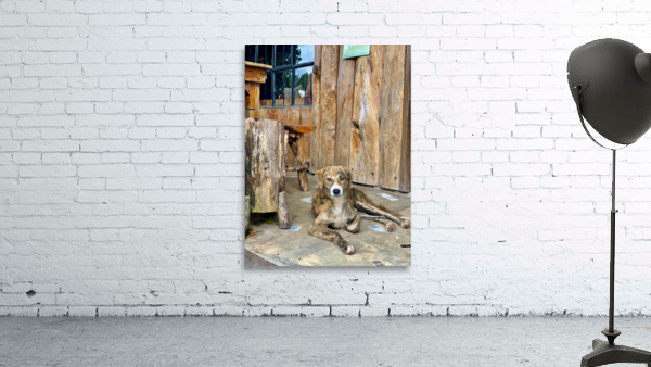 Dog Waiting Wall Preview