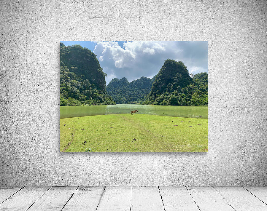 Lonely Horse Wall Preview