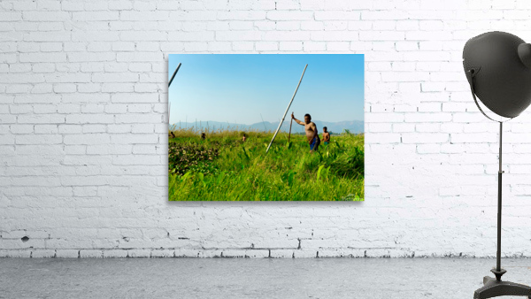 Working in the Field Wall Preview