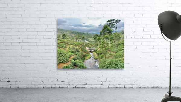 River Through the Tea Plantations Wall Preview