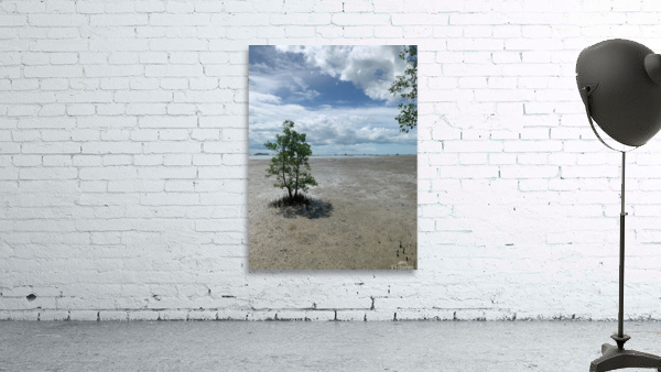 The Tree Wall Preview