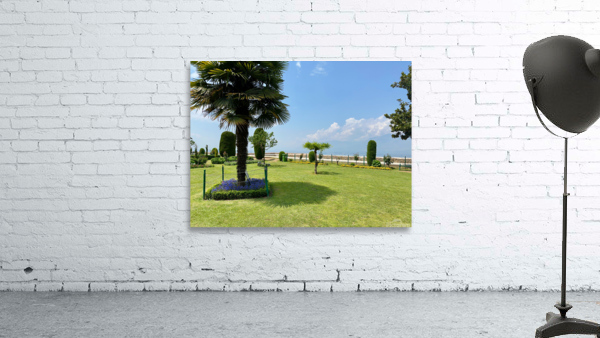 Garden in the Sky Wall Preview