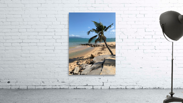 Mini Palm Tree Wall Preview