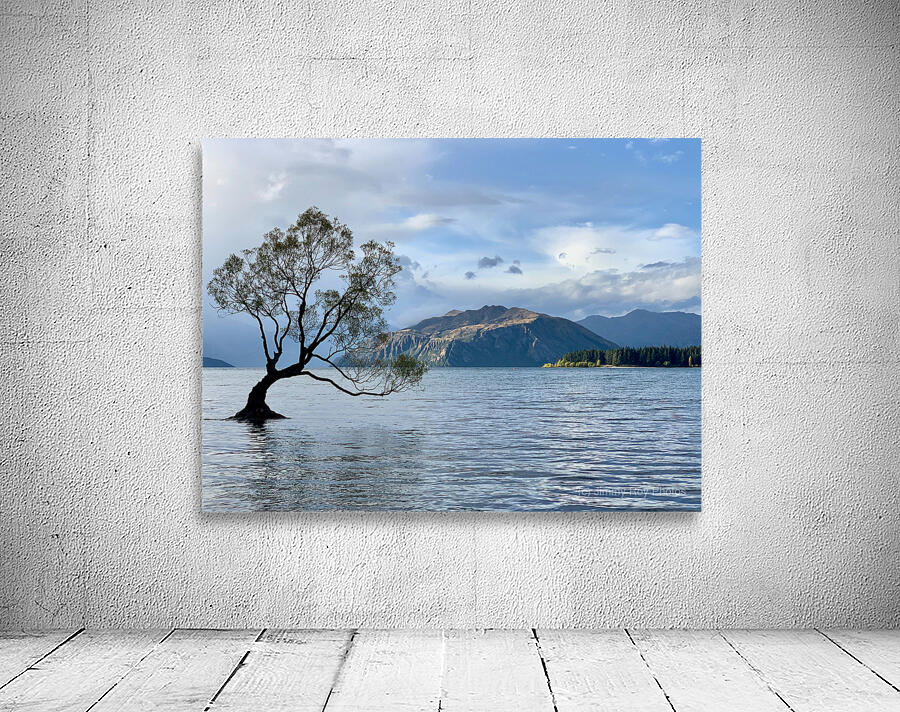 The Wanaka Tree New Zealand Wall Preview
