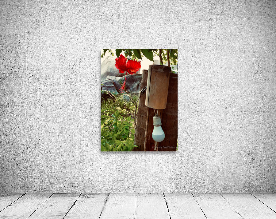 Red Flower & Homemade Lamp in Thailand Wall Preview