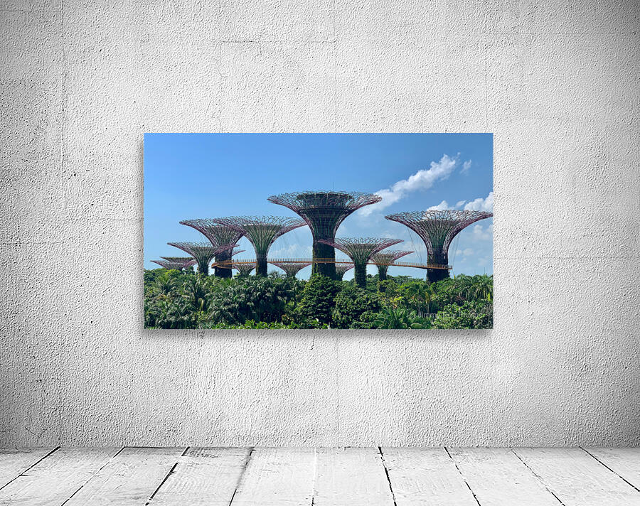 Gardens by the Bay Singapore Wall Preview