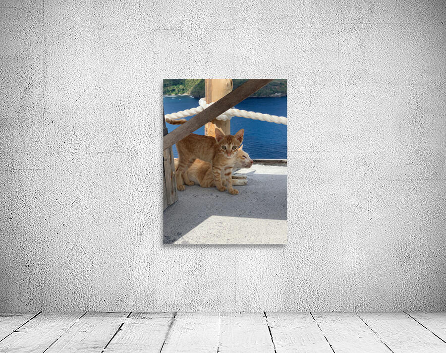 Kitties with a View Wall Preview