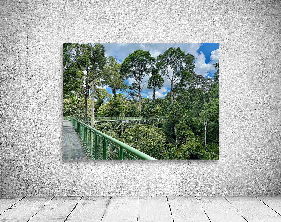 Kabili Sepilok Forest Reserve 2 Wall Preview