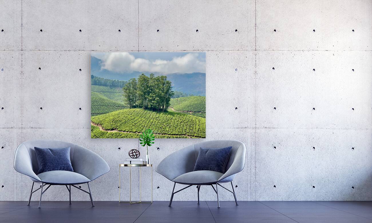 Trees Through the Tea Reproduction