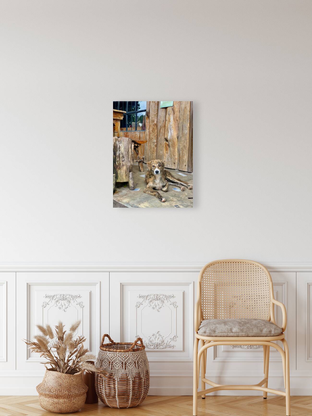 Dog Waiting Reproduction