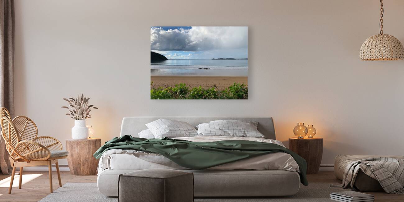 Half Nice Half Rain 3 Reproduction