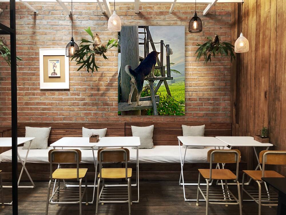 Dog Watching the Sunset Reproduction