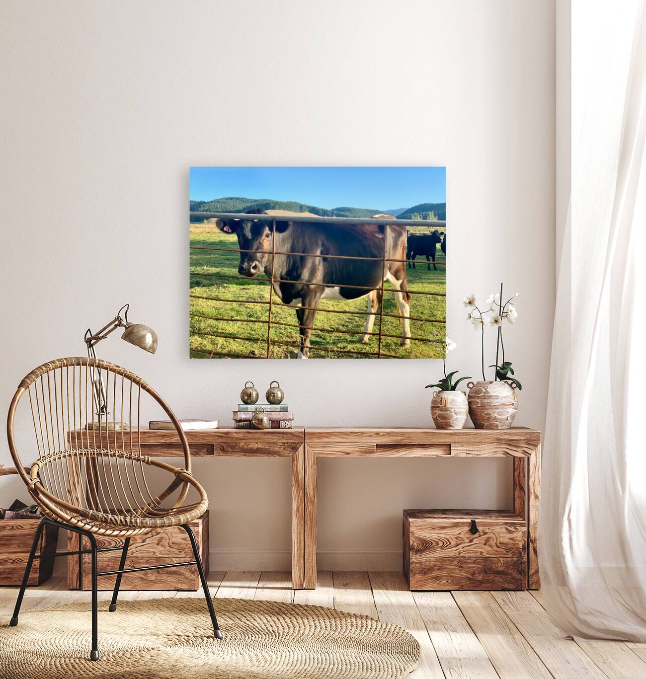 Cow Look Reproduction