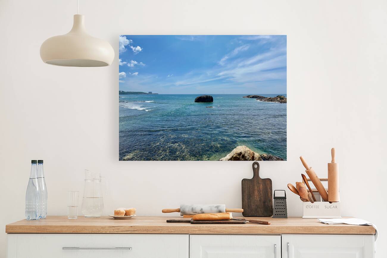 Middle Rock Ocean Reproduction