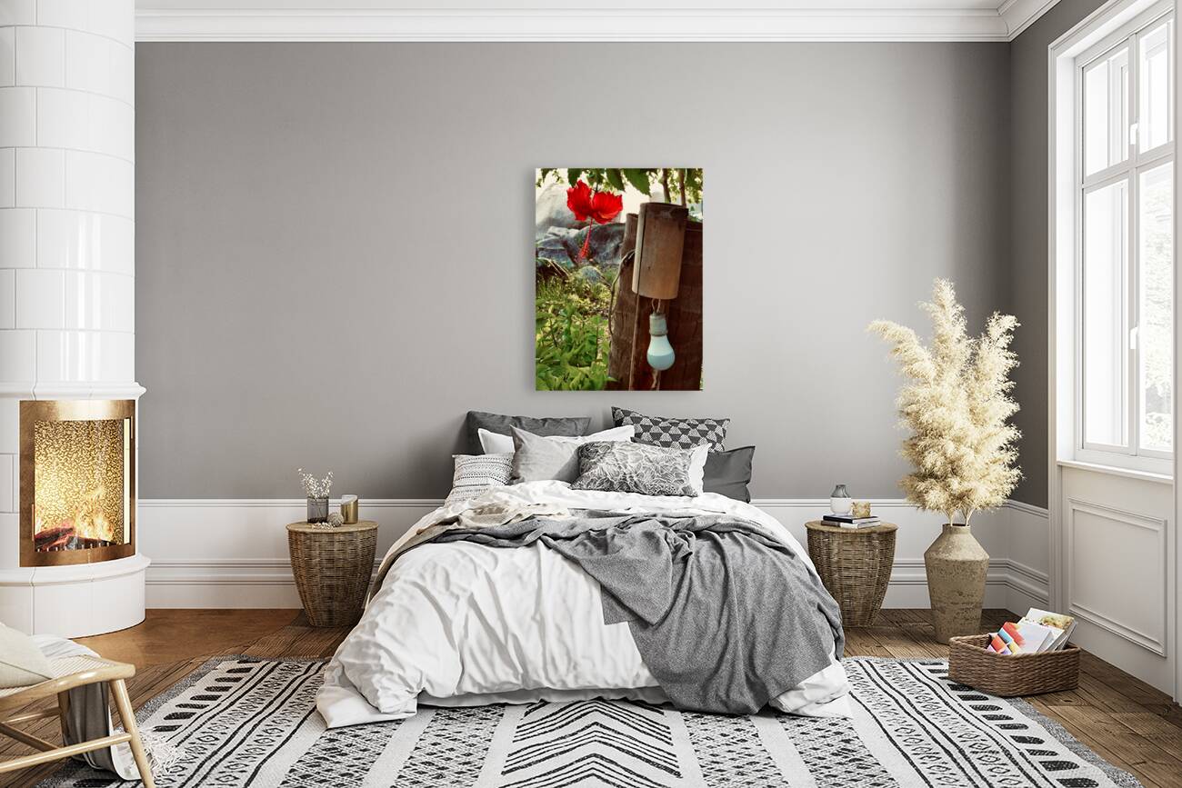 Red Flower & Homemade Lamp in Thailand Reproduction