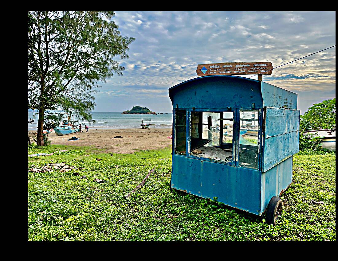 Stand Alone by the Sea Reproduction