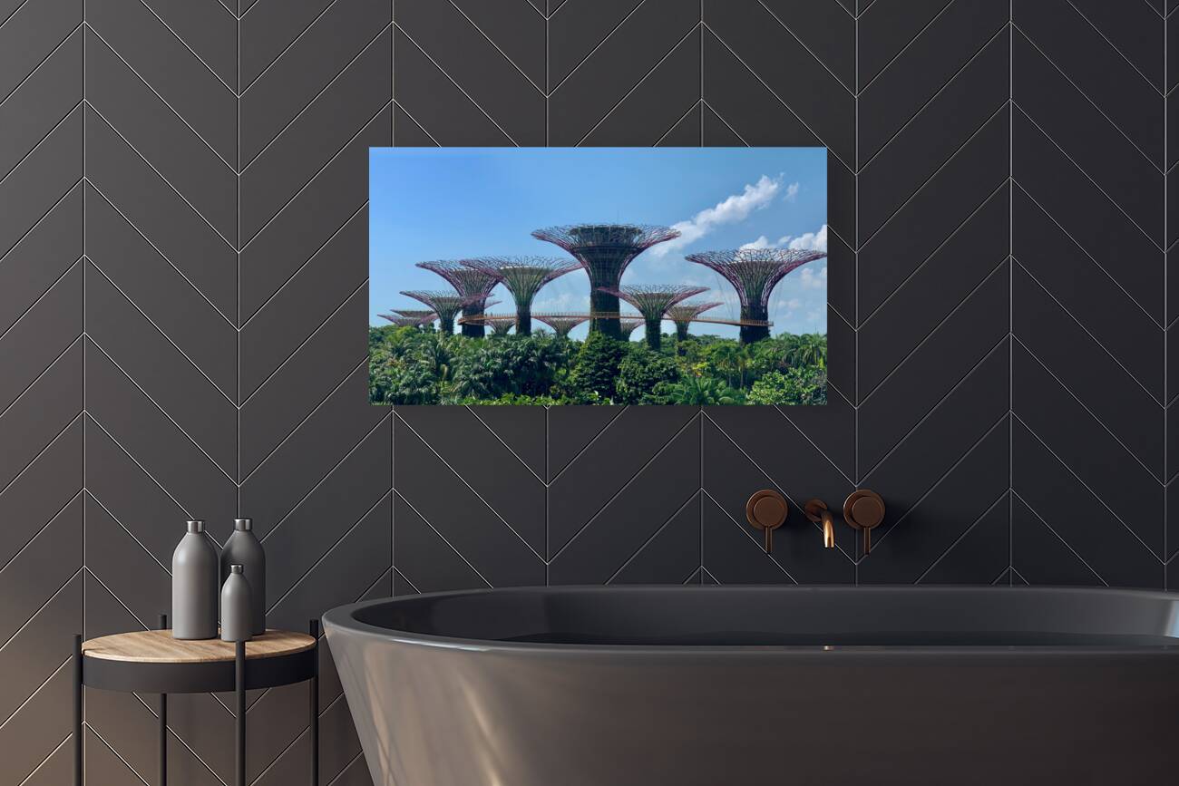 Gardens by the Bay Singapore Reproduction