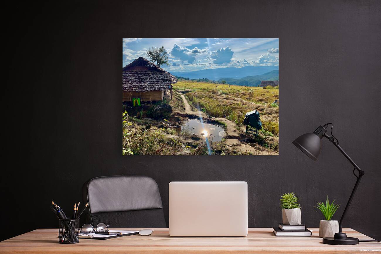 Sun Reflecting in the Puddle Reproduction