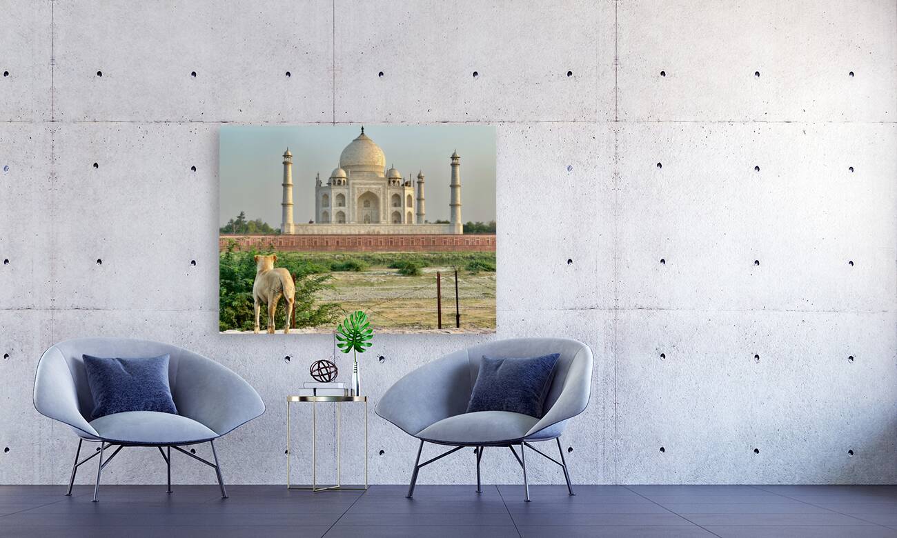 The Taj Mahal Collection 9 Reproduction