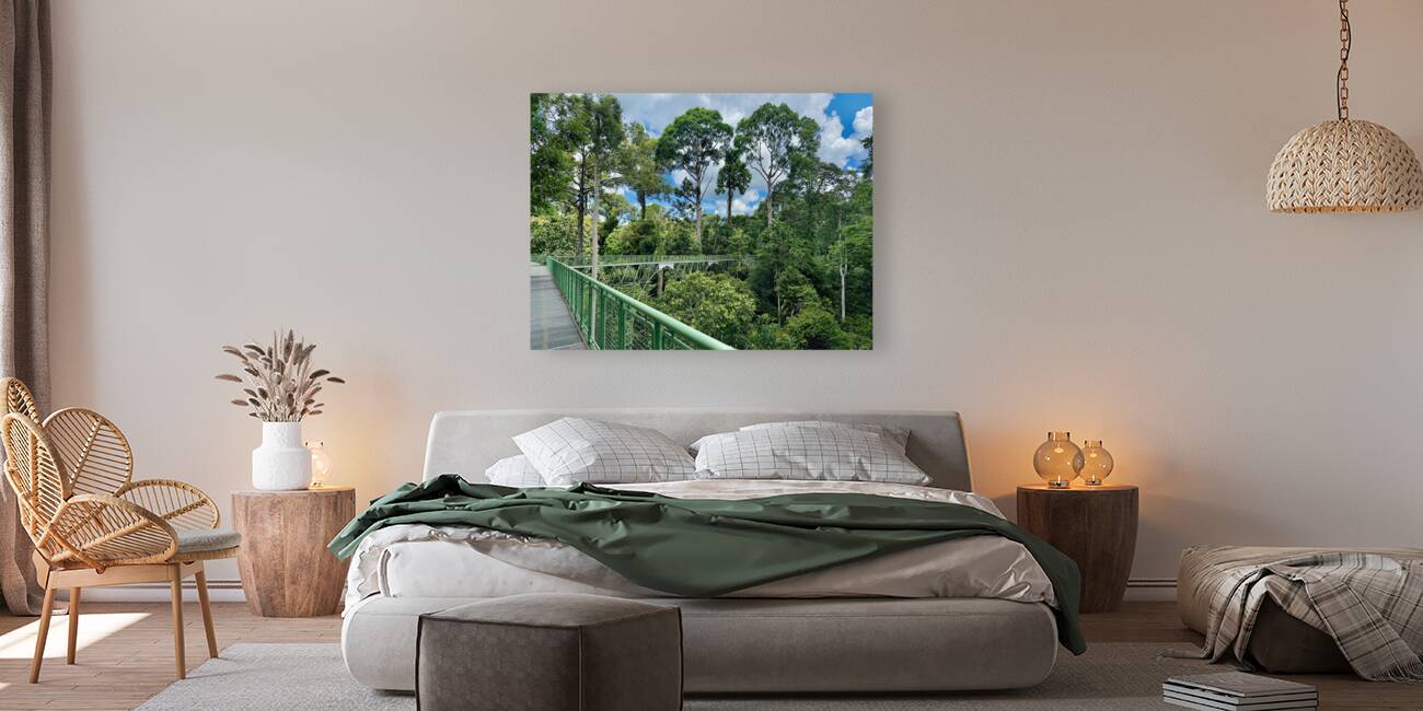 Kabili Sepilok Forest Reserve 2 Reproduction