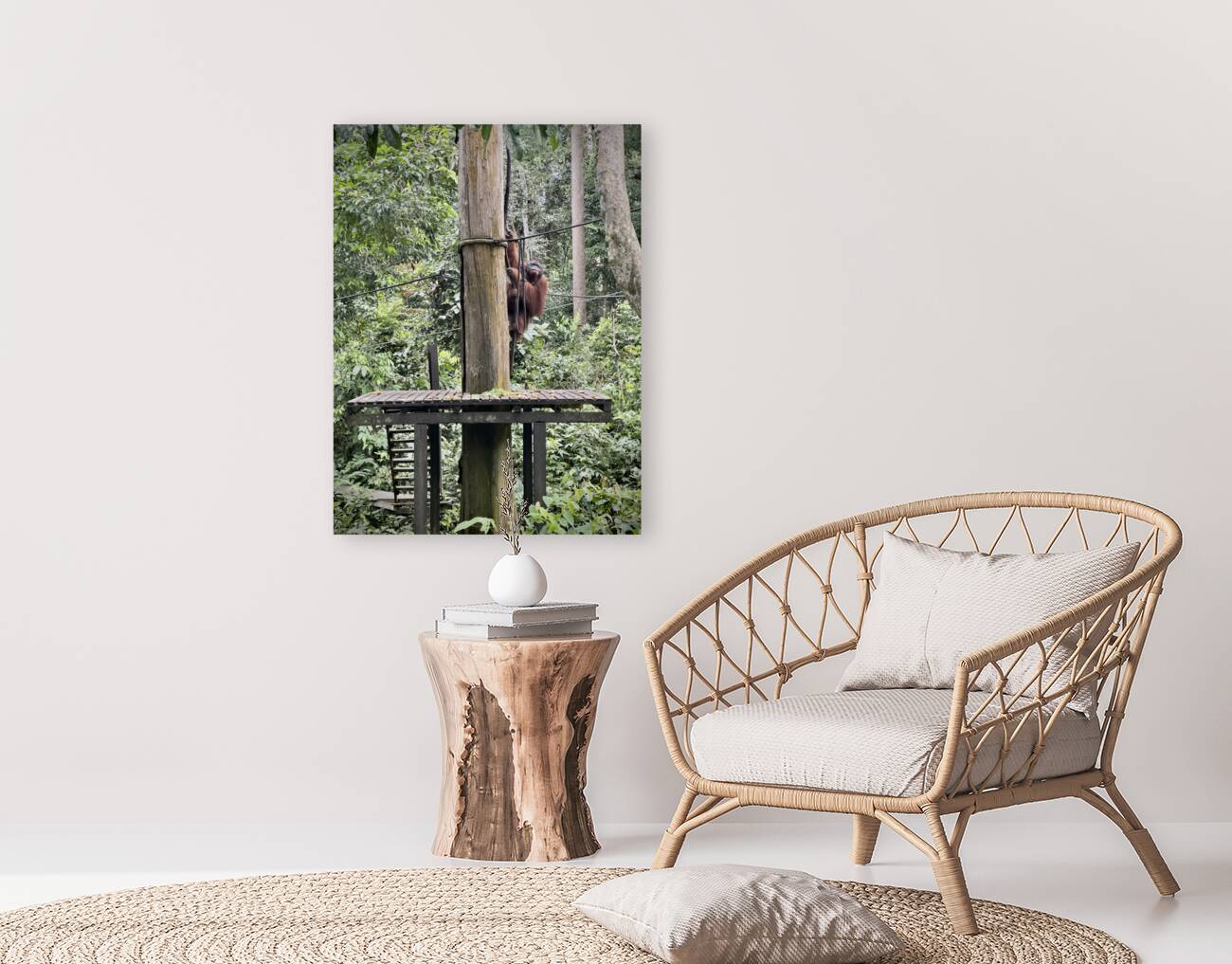 Kabili Sepilok Forest Reserve Orangutans 2 Reproduction