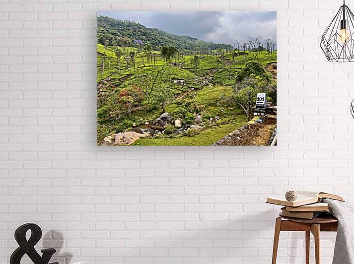 101 Tea Plantations by Jimmy Roy Photos