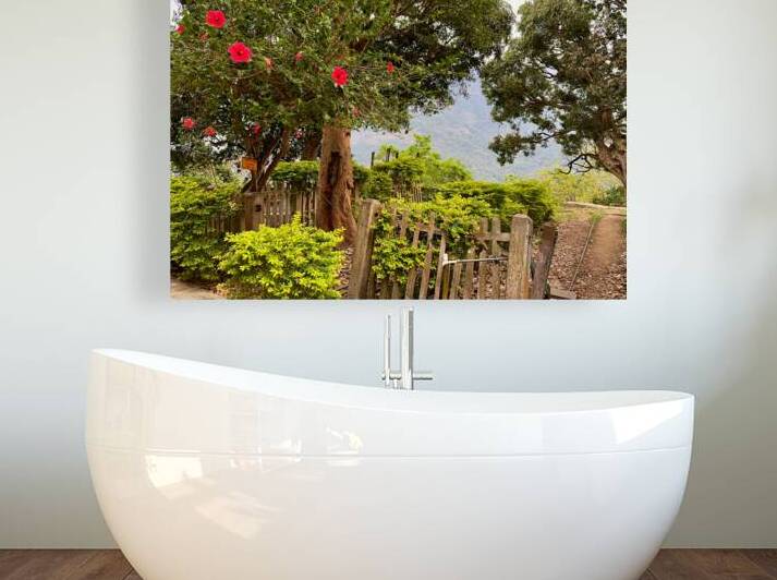 Red Flowers Gate by Jimmy Roy Photos