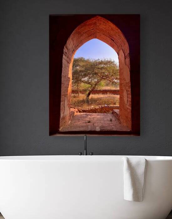 Tree by the window by Jimmy Roy Photos