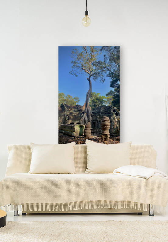 Temple Tree 2 by Jimmy Roy Photos