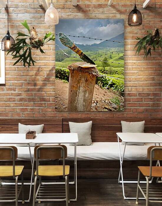 Coconut Knife 2 by Jimmy Roy Photos