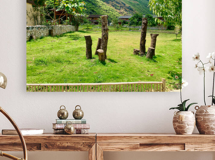 Half trees by Jimmy Roy Photos