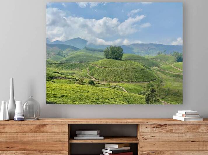 Tree Through the Tea 2 by Jimmy Roy Photos