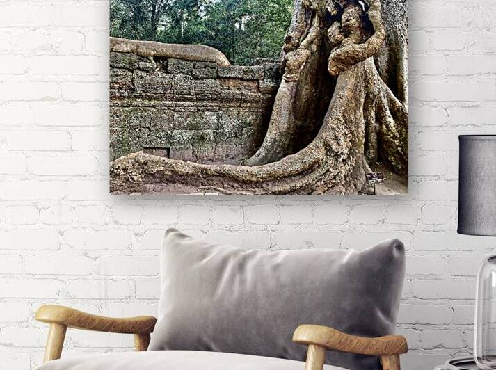 Temple Tree by Jimmy Roy Photos