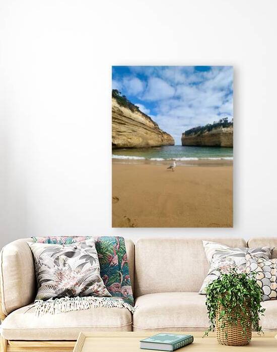 Bird on the Beach by Jimmy Roy Photos