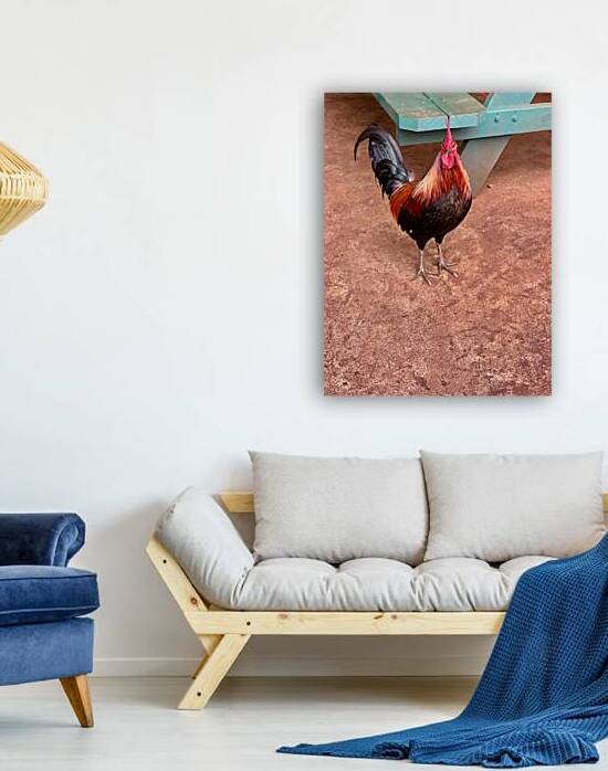 Rooster by the Table by Jimmy Roy Photos