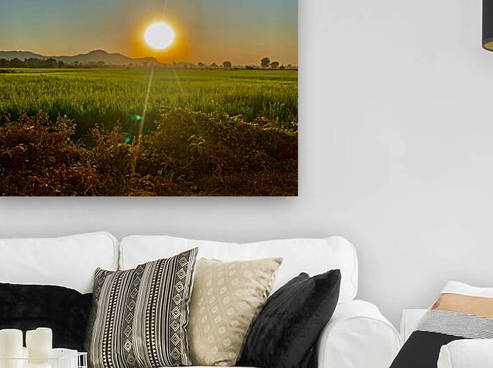 Sunset Over the Field by Jimmy Roy Photos